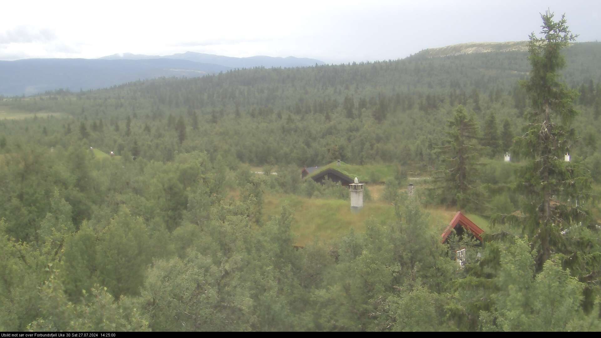 Webcam Jønnhaltmyra, Ringebu, Oppland, Norwegen